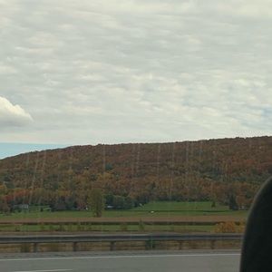 Meet your Posher, Matthew